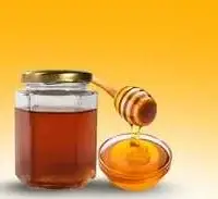 Honey (মধু)